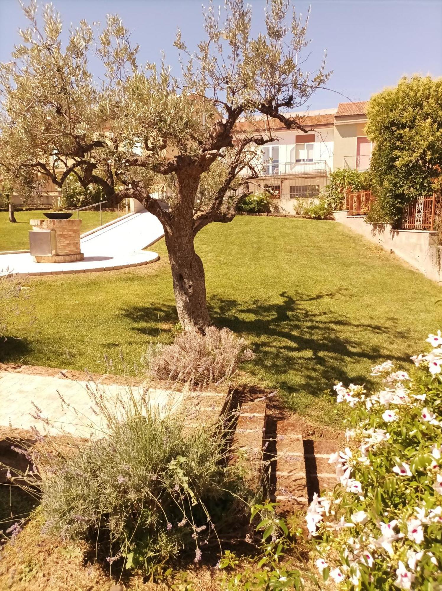 Villa Istonia Cupello Buitenkant foto
